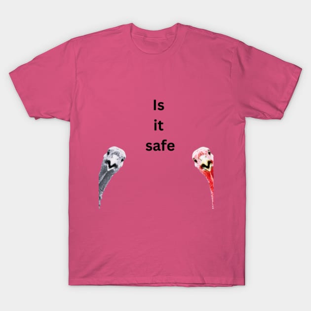 Safe turkey T-Shirt by NeoNana